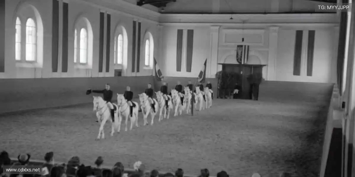 激情赛场,胜者为王!⚽️